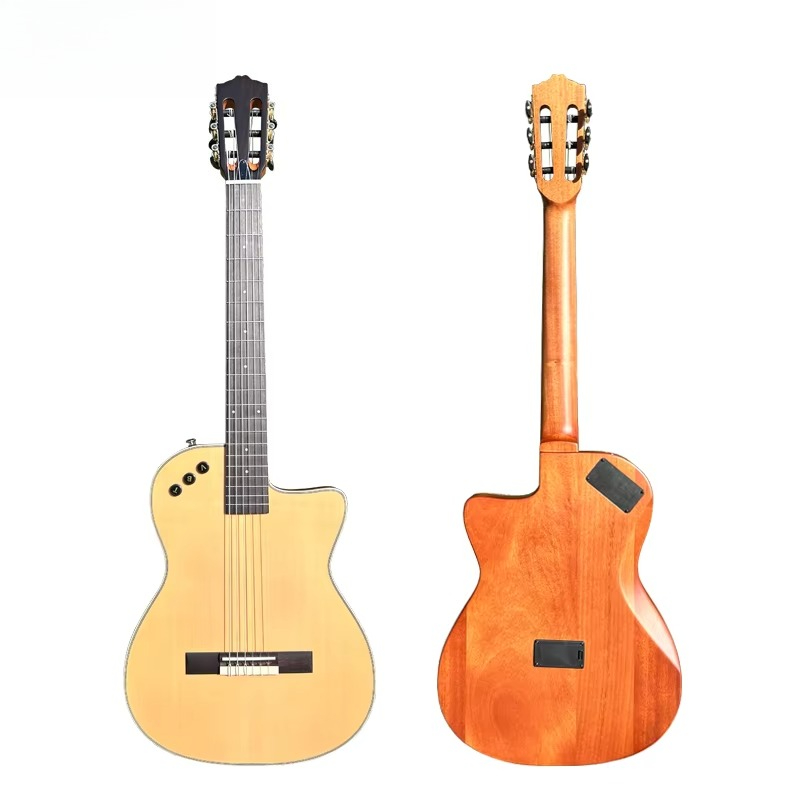 Musical Instrument Brands - Harga Grosir Gitar Klasik Elektrik Aiersi