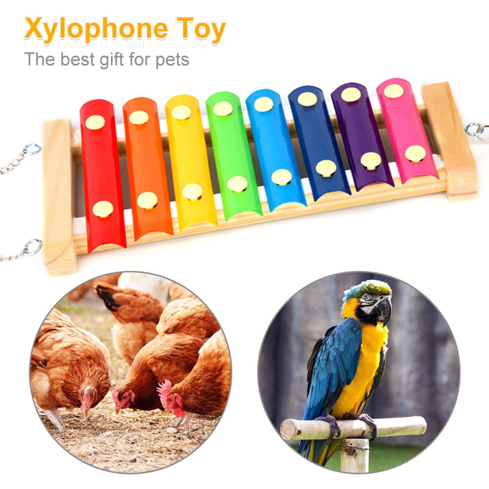 Mainan burung ayam xylofon kay - Musical Instrument Harmonium ulasan dan harga