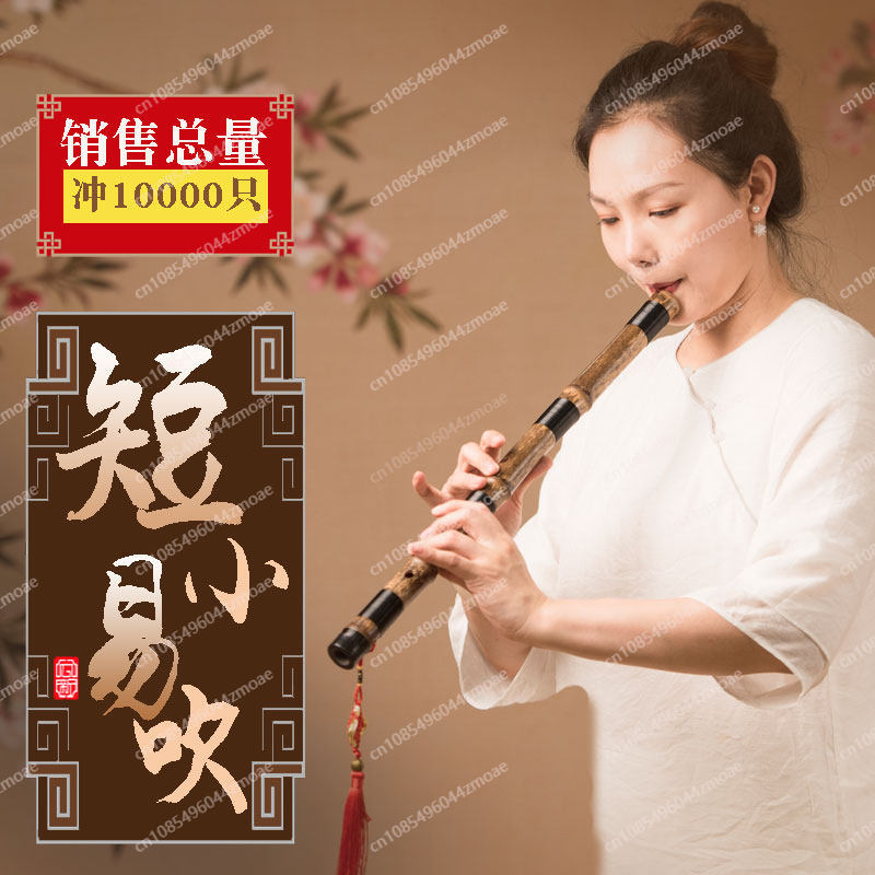 Seruling bambu Xiao pendek pro - Musical Instrument Blow ulasan dan harga