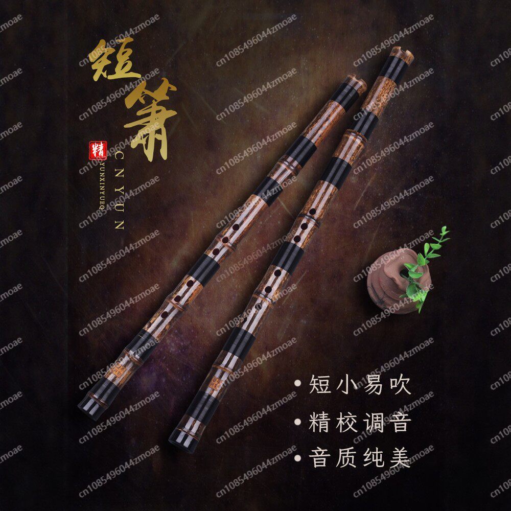 Seruling bambu Xiao pendek pro - Musical Instrument Blow ulasan dan harga