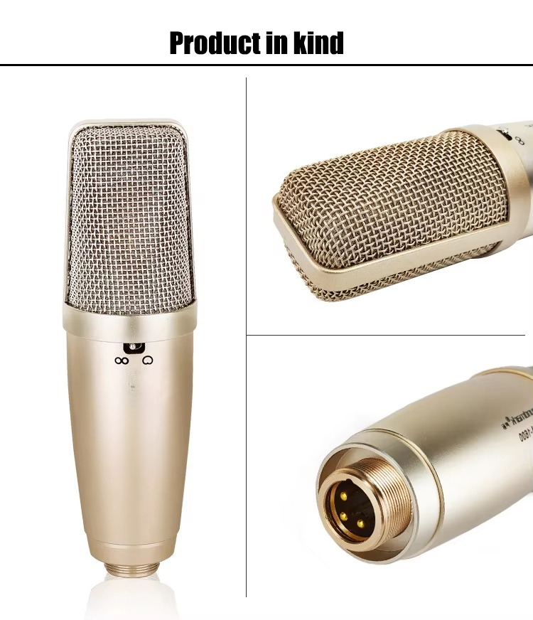Mikrofon Anak Baru Dengan Stan - Musical Instrument Brands ulasan dan harga