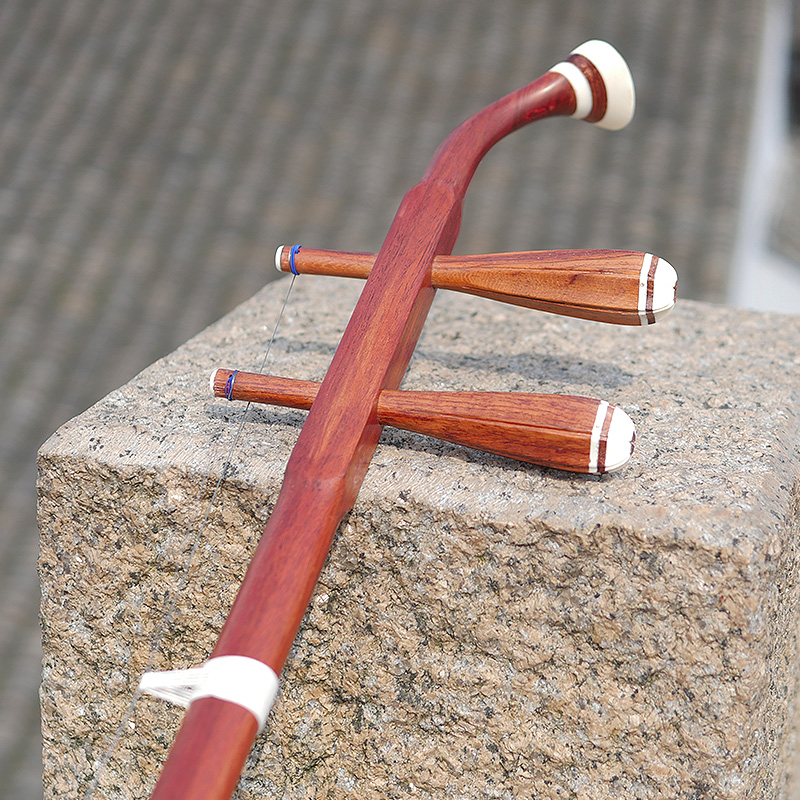Profesional Dunhuang Merek 06A - Musical Instrument Brands ulasan dan harga