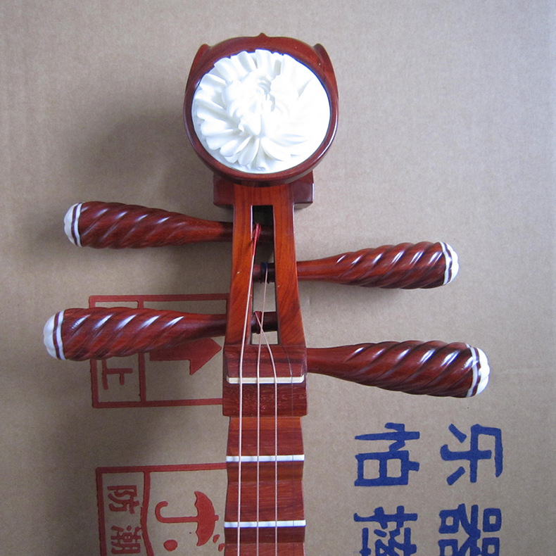 Pipa Rosewood Profesional, Ala - Musical Instrument Ending In A ulasan dan harga