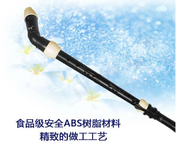 Profesional 8 Lubang Baroque B - Musical Instrument A Recorder ulasan dan harga