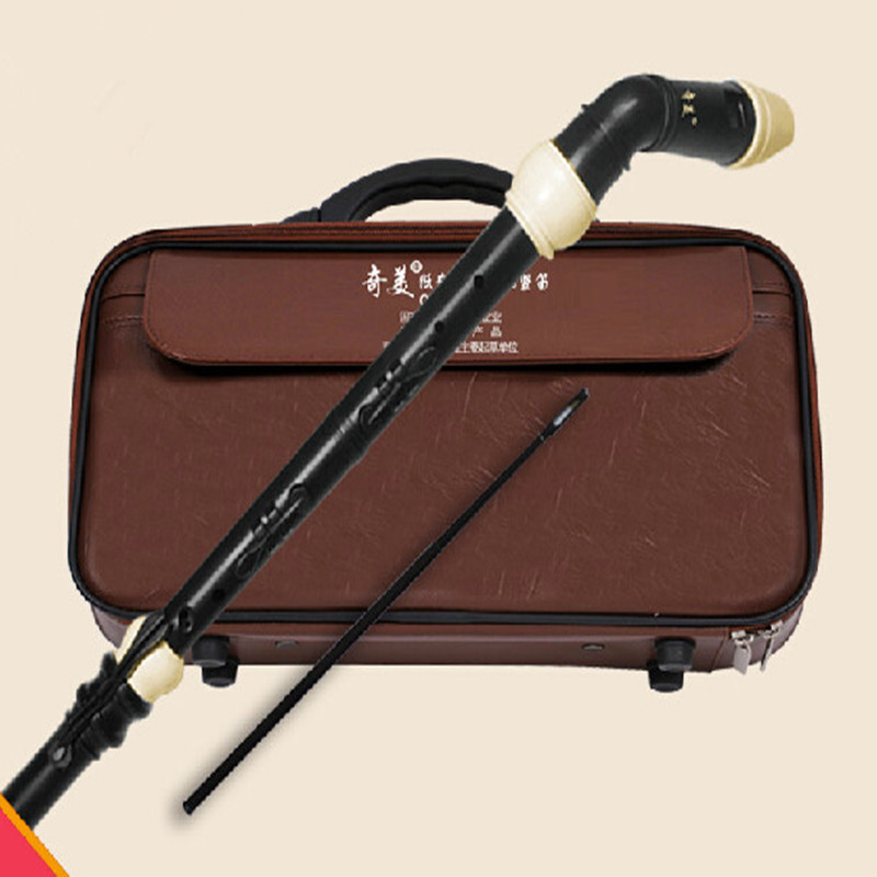 Profesional 8 Lubang Baroque B - Musical Instrument A Recorder ulasan dan harga