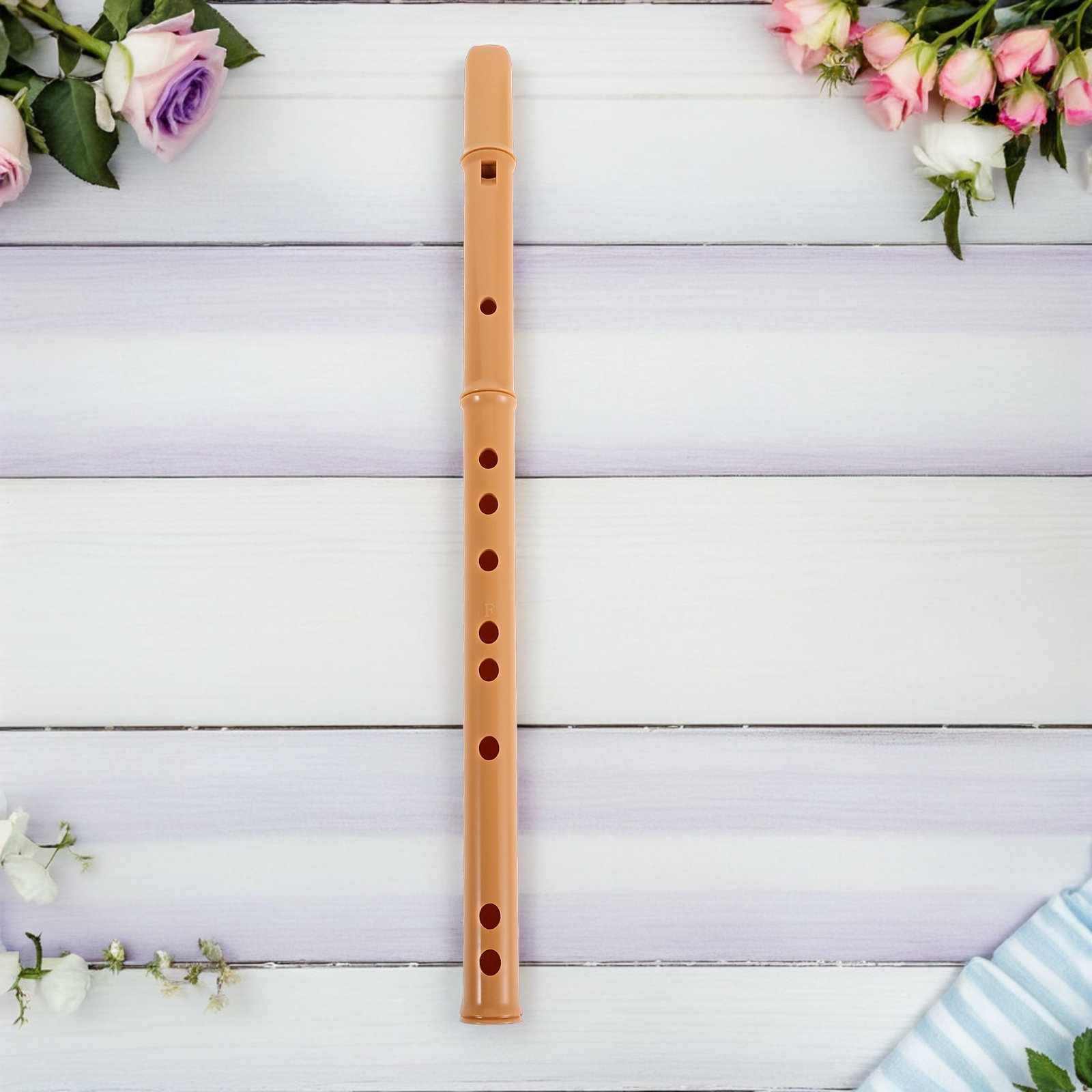 Flute Resin F yang Dapat Dilep - Musical Instrument A Recorder ulasan dan harga